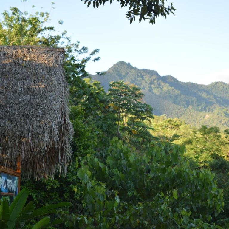MAYU PATANPI Amazon Lodges - Deluxe Bungalow - 42
