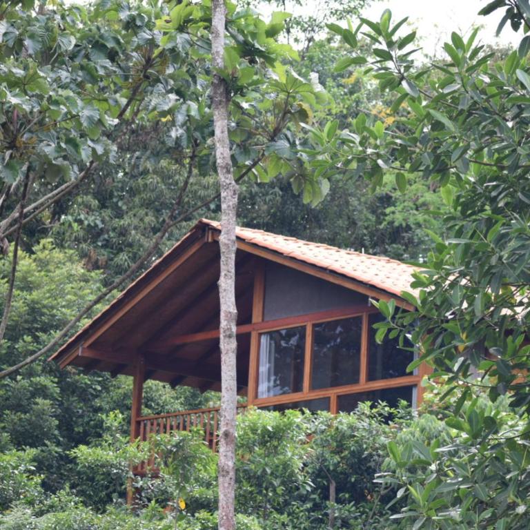 MAYU PATANPI Amazon Lodges - Deluxe Bungalow - 45