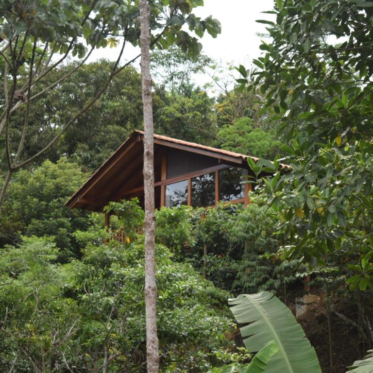 MAYU PATANPI Amazon Lodges - Deluxe Bungalow - 48