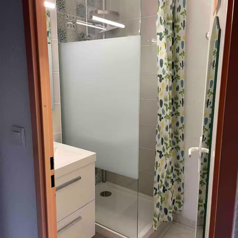 Maisonnette Ti Lézard Vert au calme à 100 mètres de la plage - Maison 2 Chambres - 15