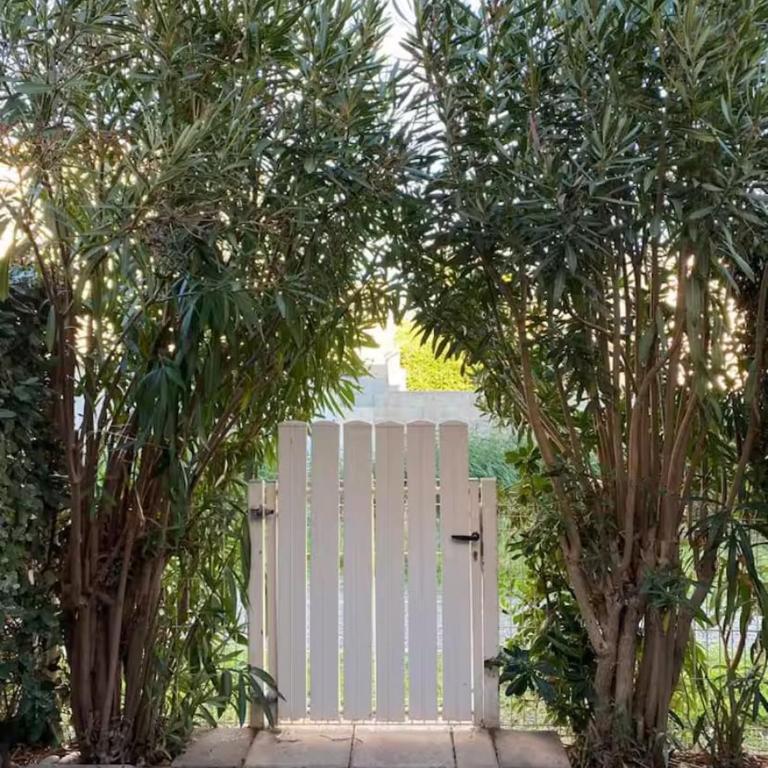 Maisonnette Ti Lézard Vert au calme à 100 mètres de la plage - Maison 2 Chambres - 6