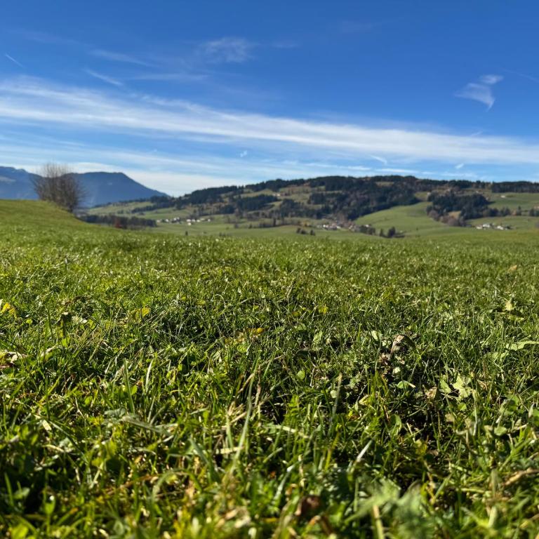 Alpenruhe Kranzegg - Apartment mit 2 Schlafzimmern - 46