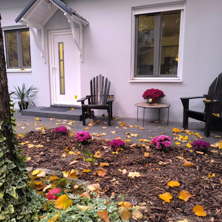 Marigold Premium - Apartman sa 1 Spavaćom Sobom - 9