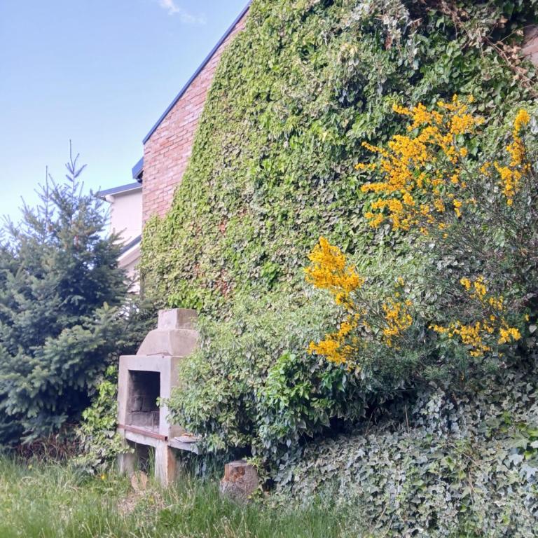 Casa con Increíble Vista al Lago (Michay) - Casa de 5 dormitorios - 17