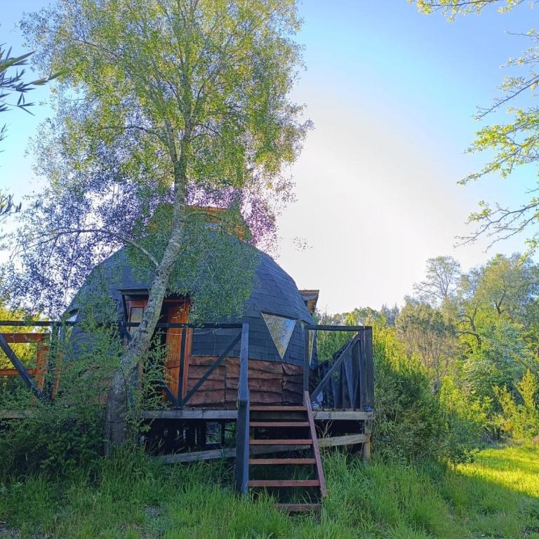 DOMO Ecológico - One-Bedroom House - 46