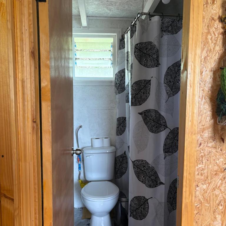 Cabañita Chilota - Casa con 1 dormitorio - 10