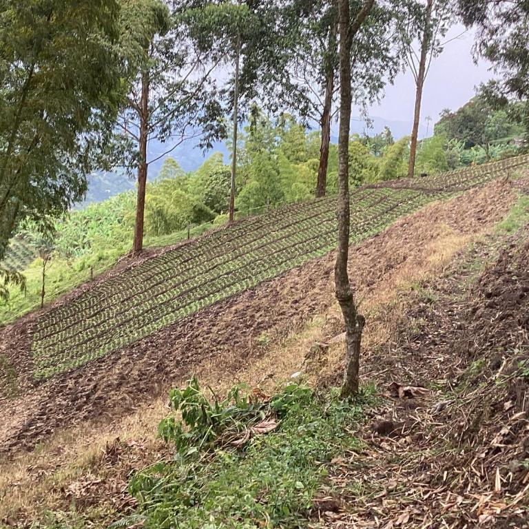 Las Hamacas (Hospedaje Rural) - Habitación Doble con vistas a la montaña - 11
