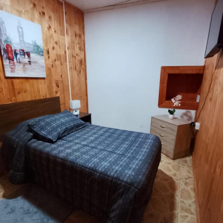 Hospedaje Centro Huequén - Habitación Individual Estándar con baño compartido - 1