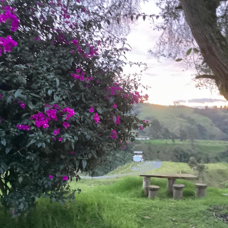 Glamping La Maestranza con desayuno incluido - One-Bedroom Apartment - 9
