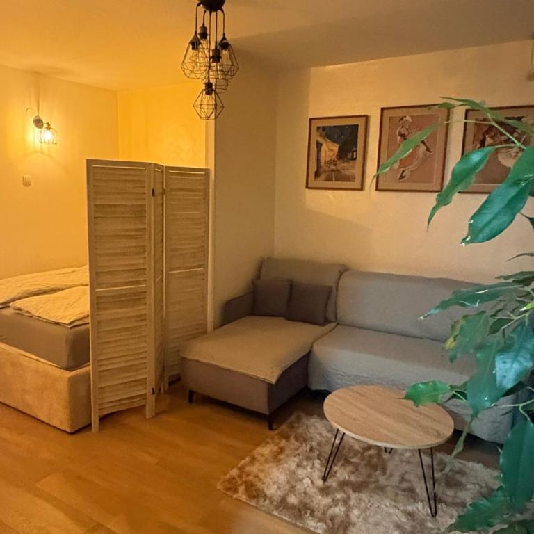 ViLu - Apartman sa 1 Spavaćom Sobom - 1