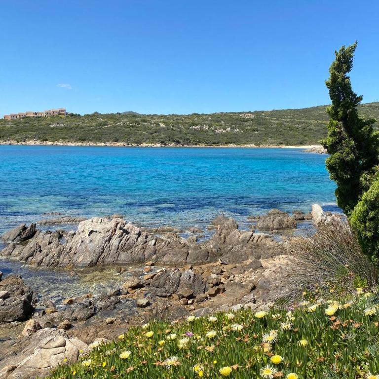 Luxury apartment Ginestra sea view with common swimming pool just 50 mt from the beach - Appartamento con 2 Camere da Letto - 18