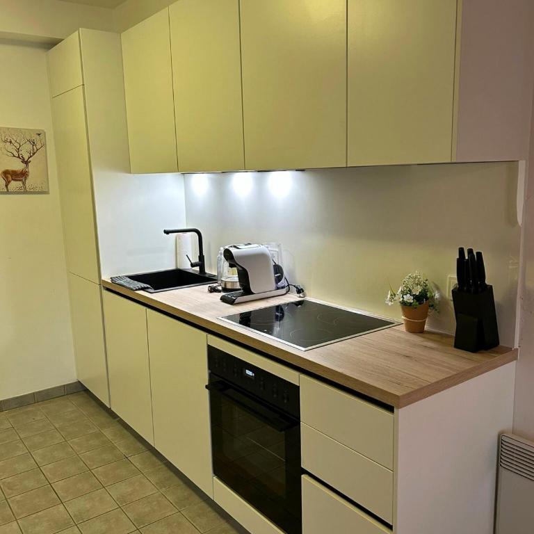 Lakeside Apartment Töschling - Seeblick & Zugang - Apartment mit 1 Schlafzimmer - 2