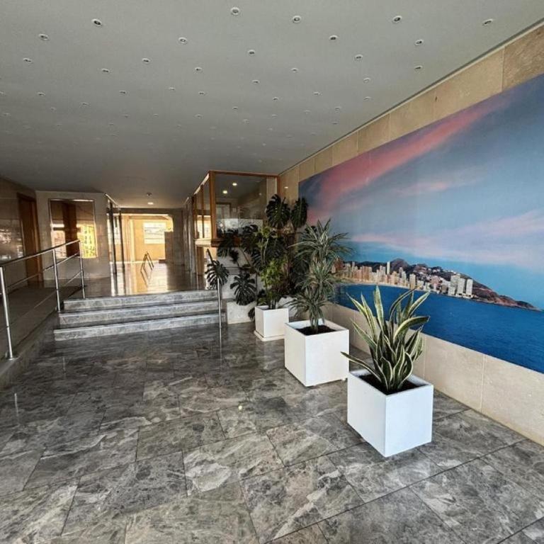 Benidorm, Palm Bay, Levante Beach - Apartamento de 3 dormitorios - 33