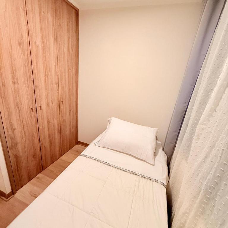 Amplio y cómodo Departamento en el Corazón de Santiago con estacionamiento gratis - Apartamento de 2 dormitorios - 6