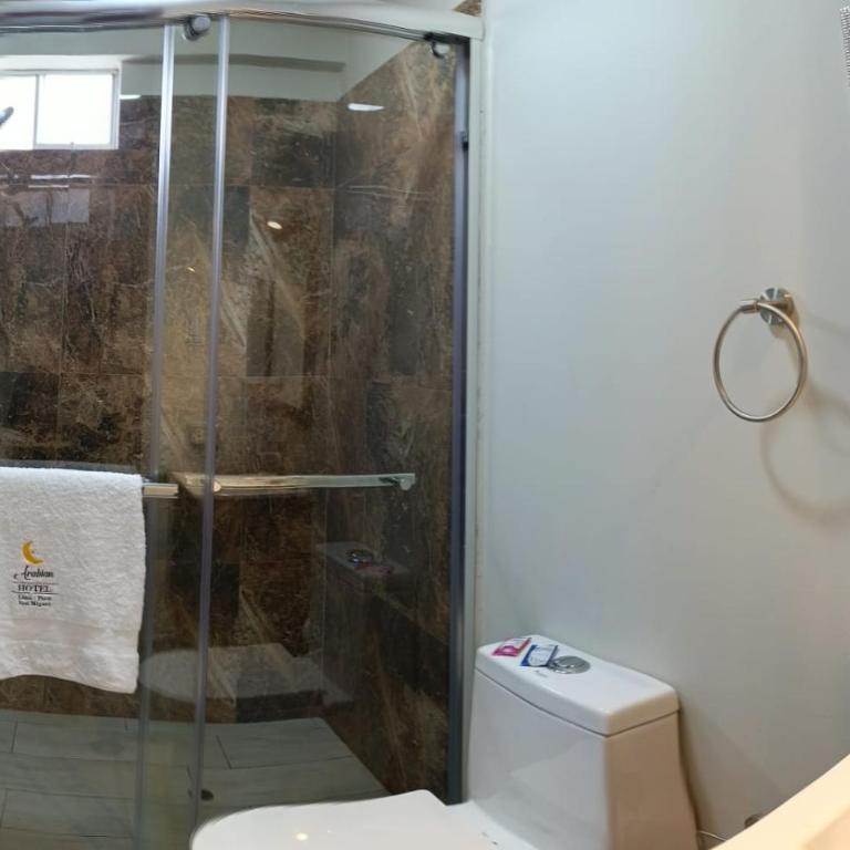 Arabian Hotel - Habitación con cama grande - 13