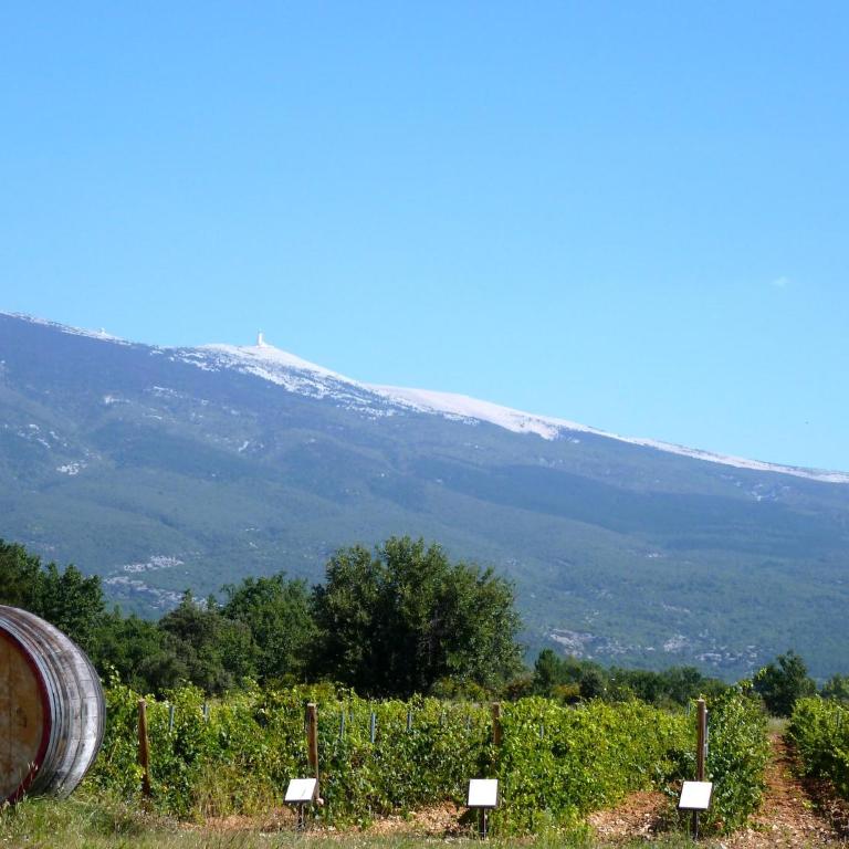 Holiday Home in Provence near Mont Ventoux - Maison de Vacances 2 Chambres - 20