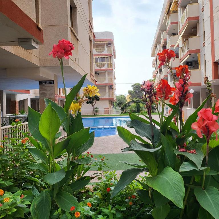 Apartamento con garaje y piscina en Oropesa del Mar - Apartamento de 2 dormitorios - 1