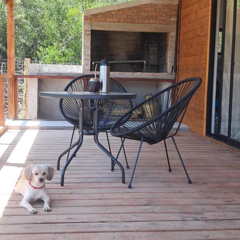 La Quillota - Apartamento de 2 dormitorios - 11