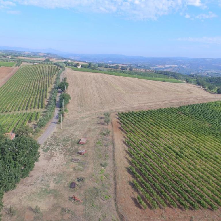 Casa Vacanza Malescale - Appartamento con 1 Camera da Letto - 42