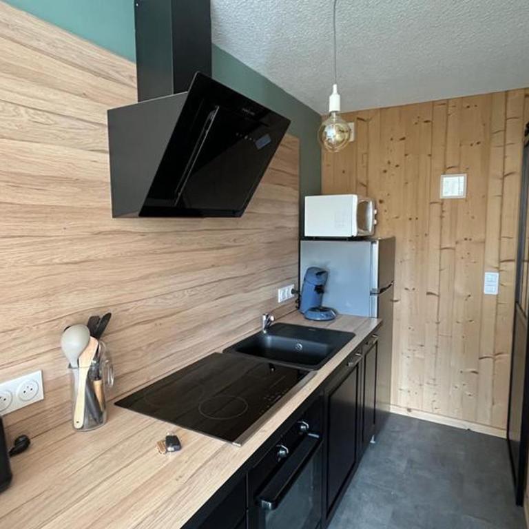 Appartement rénové 2 pièces, centre station, garage, animaux admis - FR-1-836-24 - Studio - 7