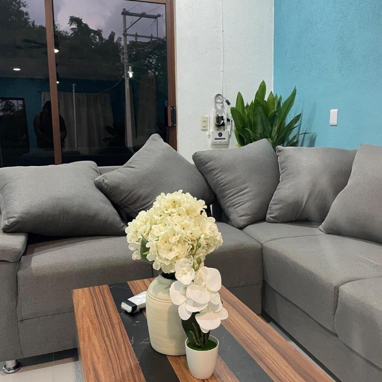 Estancia Sofia - Apartamento Estándar de 2 dormitorios - 6