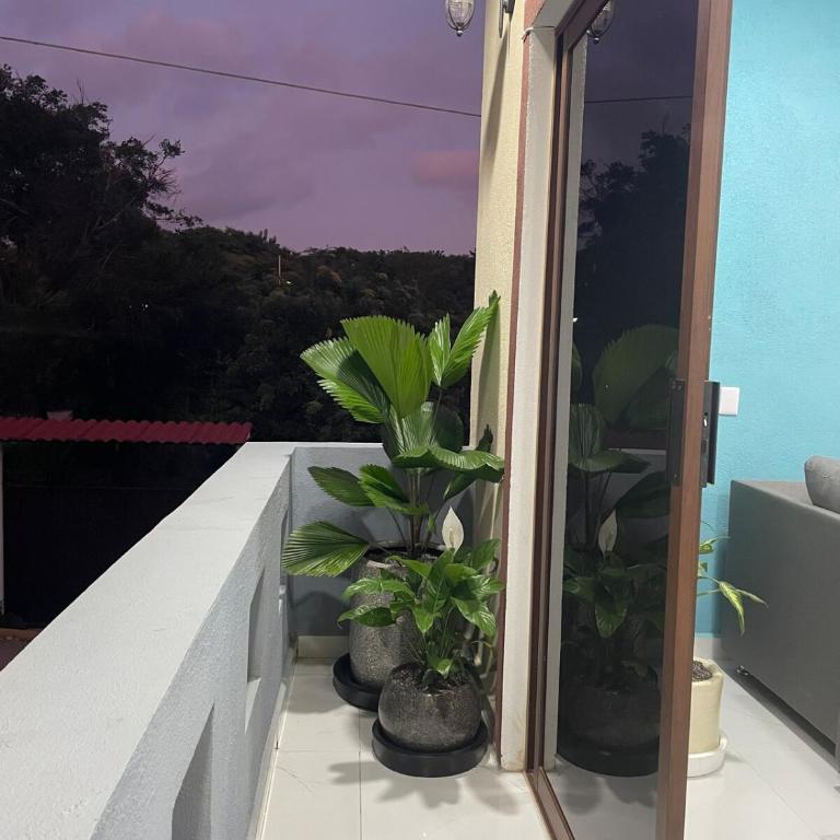 Estancia Sofia - Apartamento Estándar de 2 dormitorios - 8