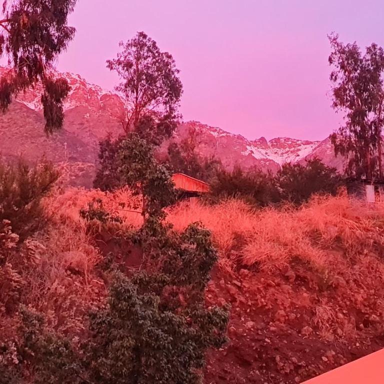 Cabañas PUREVA - Two-Bedroom Apartment - 14