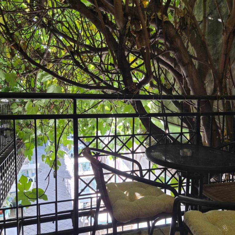 Centar Novi Sad-Studio No. 2 - Studio sa Terasom - 5