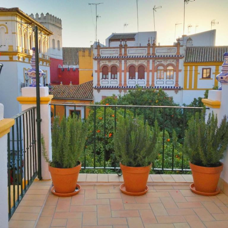 Hotel Boutique Elvira Plaza - Suite Junior con terraza - 11