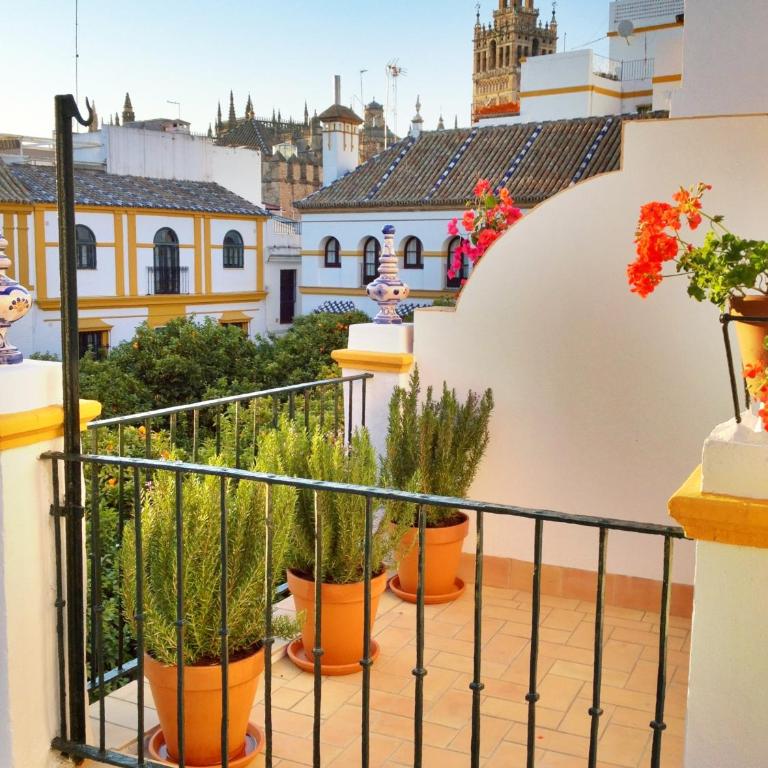 Hotel Boutique Elvira Plaza - Suite Junior con terraza - 4