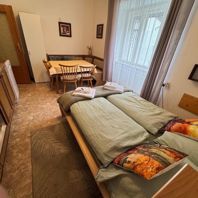 Steinadler Apartments Quiet Location Garden, Private Parking Pet Friendly - Appartement avec Vue sur la Montagne - 2