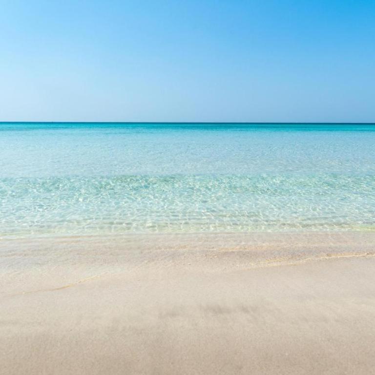 Sul mare villa Tetta - Villa con 2 Camere da Letto - 11