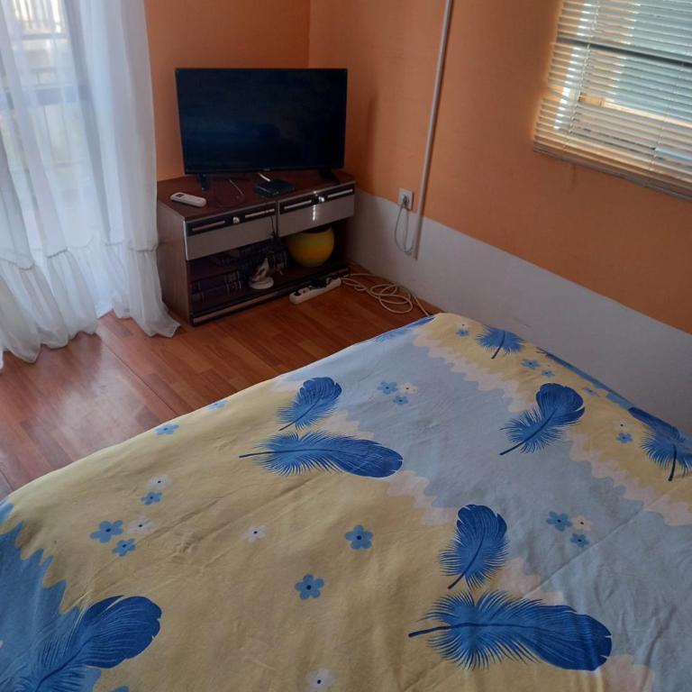 Apartman Ipak Se Okrece - Apartman sa 1 Spavaćom Sobom - 6