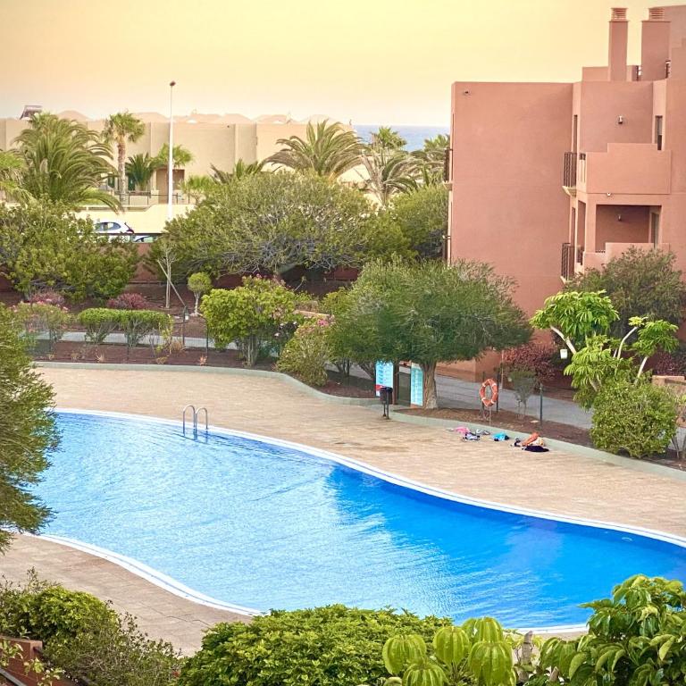 Tejita Sun Beach Holidays by Deihu Experiences - Apartamento con vistas a la piscina - 16