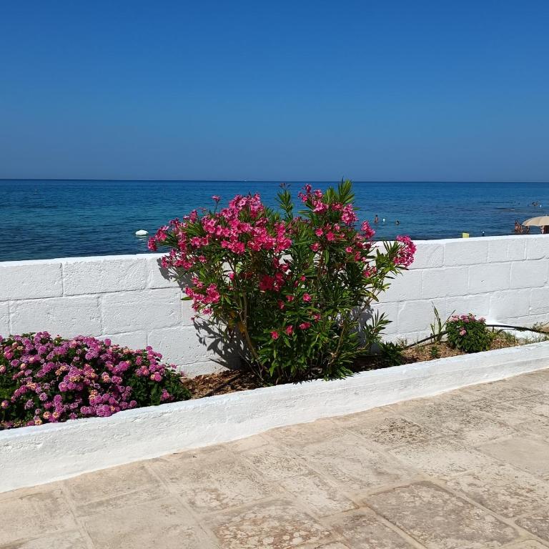 Dimora Grazia in Riva al Mare - Appartamento con Vista Mare - 29