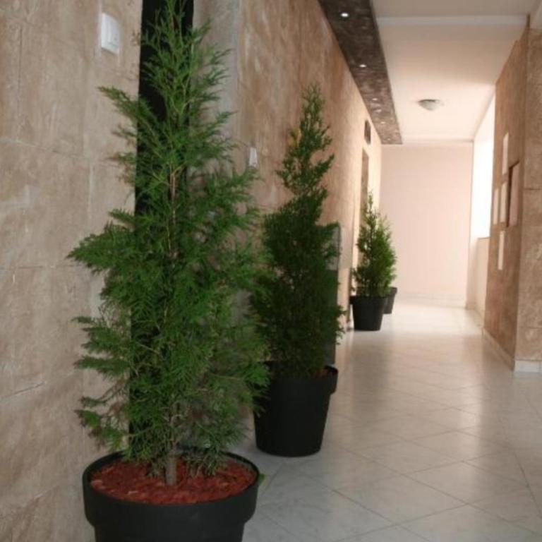 Apartman broj 19 - Apartman sa 1 Spavaćom Sobom - 2