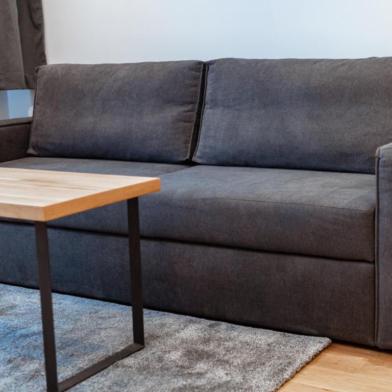 Apartmani Zlatni Javor 504 & 514 - One-Bedroom Apartment - 6