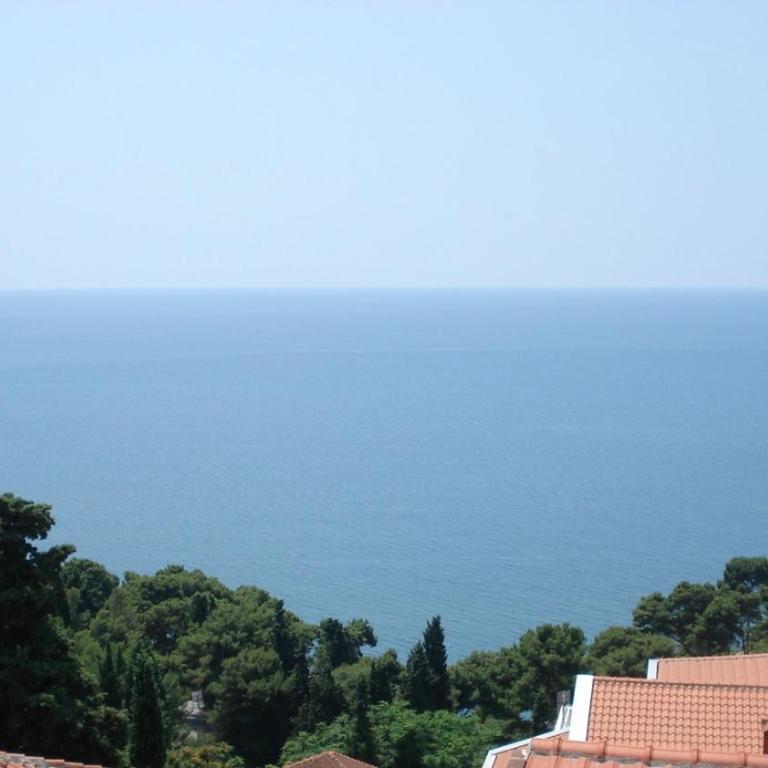 Apartments Popovic - Apartment with Balcony - 7