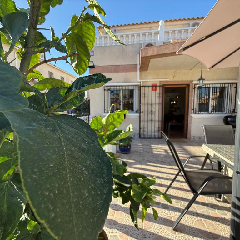 Familienhaus in Cabo Roig - Casa de 3 dormitorios - 4