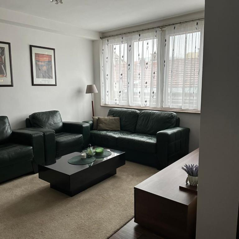 Apartment Cameo - One-Bedroom Apartment - 5