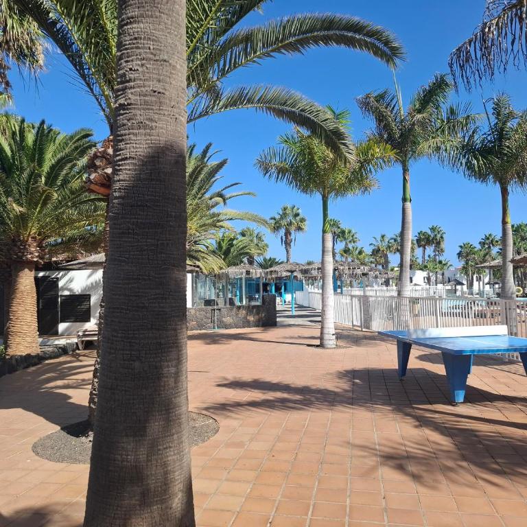 Sunny apartment with terrace in Corralejo - Apartamento de 2 dormitorios con balcón - 27