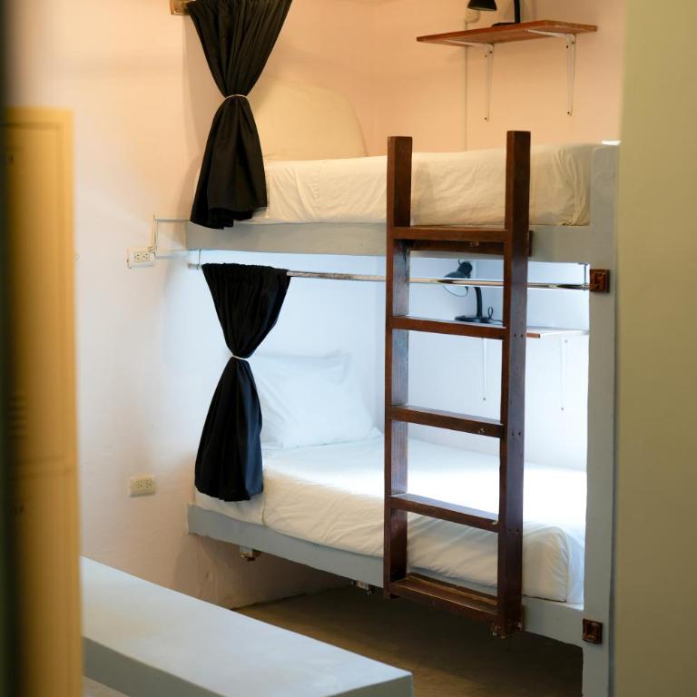 Mapache Hostel - Cama en habitación compartida de 6 camas - 1