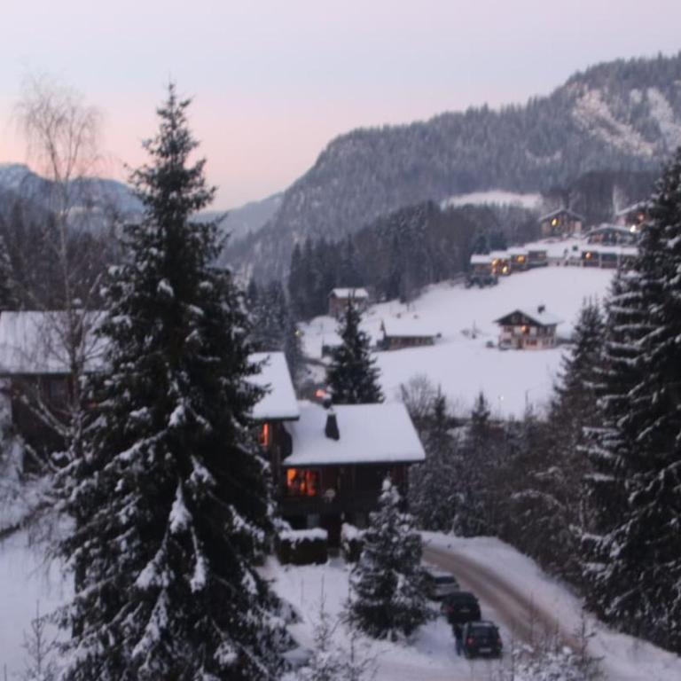 appartement pieds des pistes - Two-Bedroom Apartment - 5