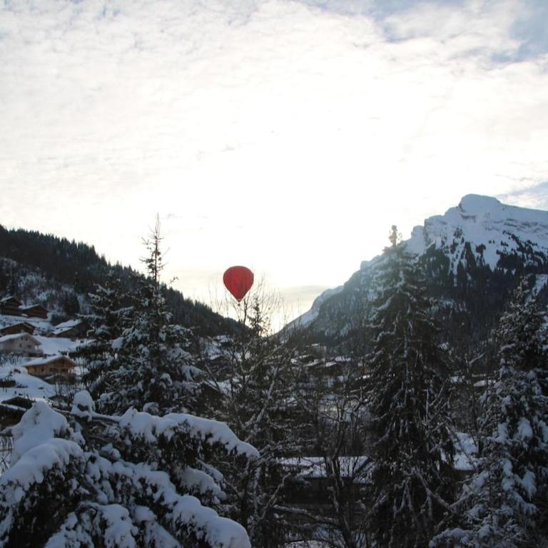 appartement pieds des pistes - Two-Bedroom Apartment - 6
