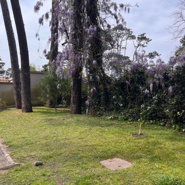 Cozy House in Punta del Este - Three-Bedroom House - 33