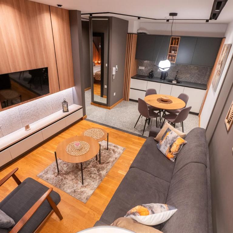 Modern Mountain - Comfort Apartment - Deluks Apartman sa 1 Spavaćom Sobom - 10