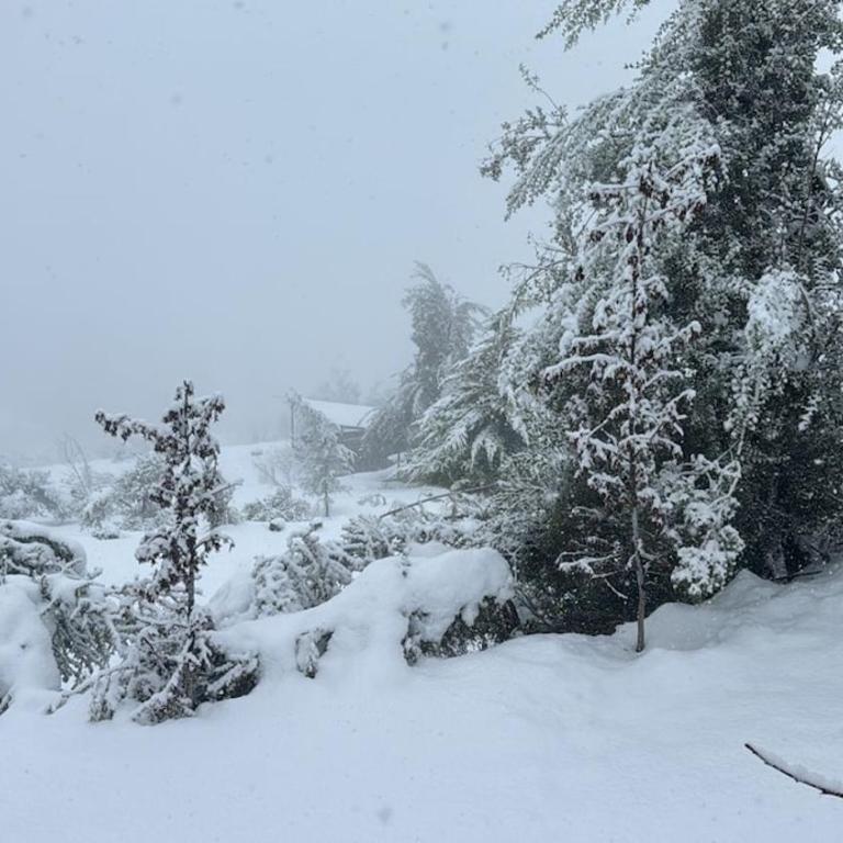 Hermosa y acogedora cabaña de montaña - Chalet de 1 dormitorio - 3