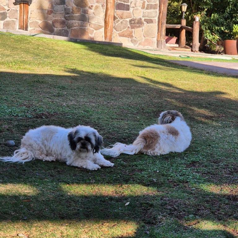 Hermosa y acogedora cabaña de montaña - Chalet de 1 dormitorio - 19