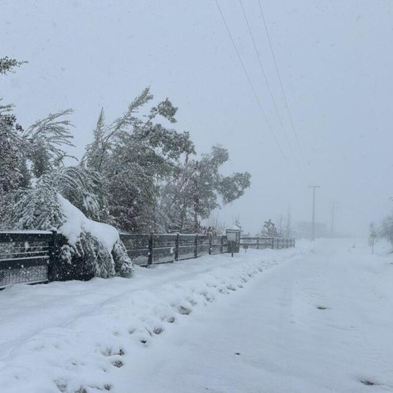 Hermosa y acogedora cabaña de montaña - Chalet de 1 dormitorio - 49