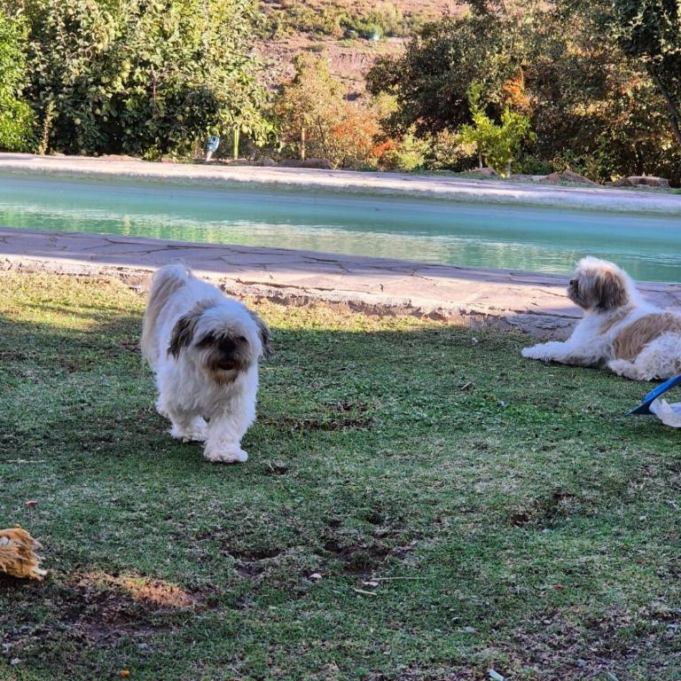 Hermosa y acogedora cabaña de montaña - Chalet de 1 dormitorio - 52